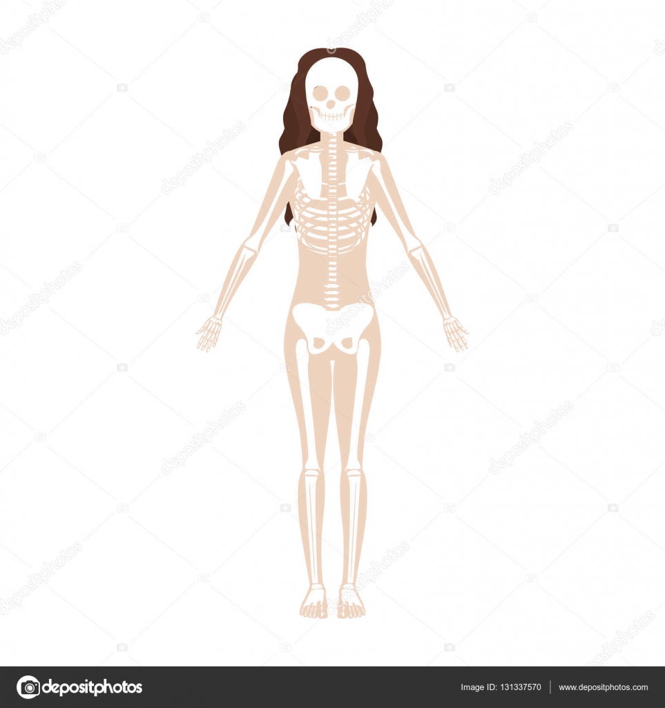 Silhuet kvinde system knogle med bølget hår Stockvektor af ©grgroupstock  131337570, image size:963x1024