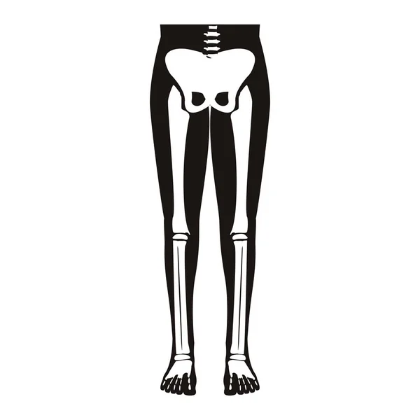 Demi corps silhouette système os avec os des jambes — Image vectorielle