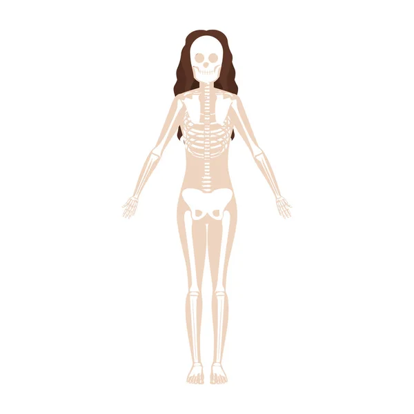 Силуэт женской системы кости с волнистыми волосами — стоковый вектор