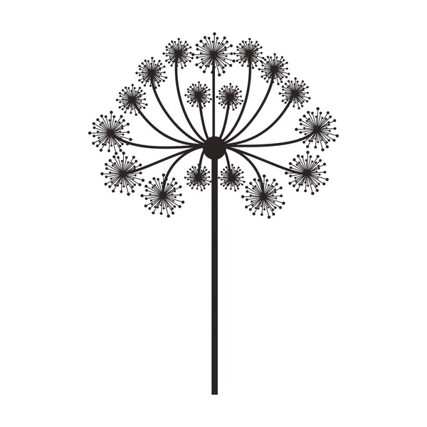 Silhouette dandelion with stem and pistil — Stock Vector
