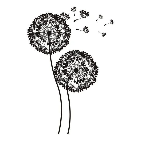 Silhouette flying blow dandelion buds — Stock Vector