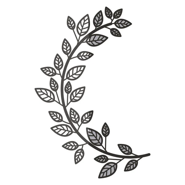 Conception de couronne de feuilles isolées — Image vectorielle