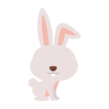 İzole tavşan karikatür tasarım