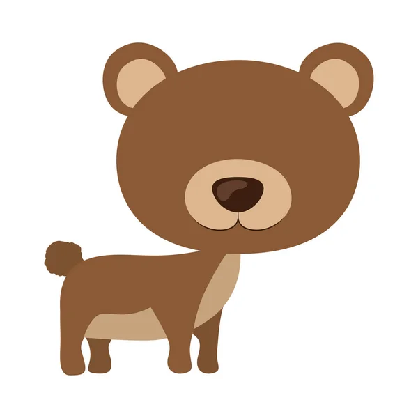 Изолированный дизайн медведя — стоковый вектор