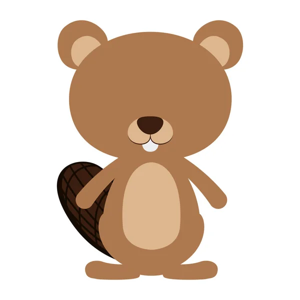 Geïsoleerde beaver cartoon design — Stockvector