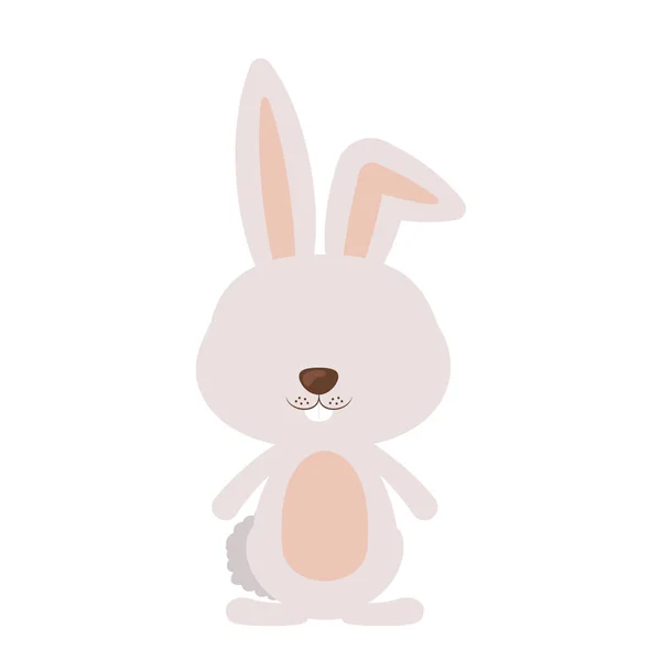 Diseño de dibujos animados de conejo aislado — Vector de stock