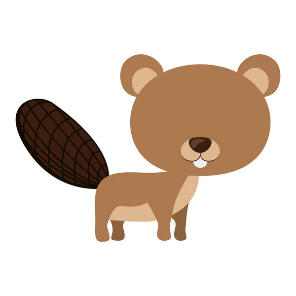 Geïsoleerde beaver cartoon design — Stockvector