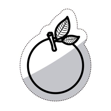 Yalıtılmış turuncu meyve tasarım