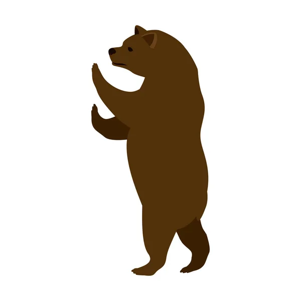 Izolované medvěd zvířecí design — Stockový vektor
