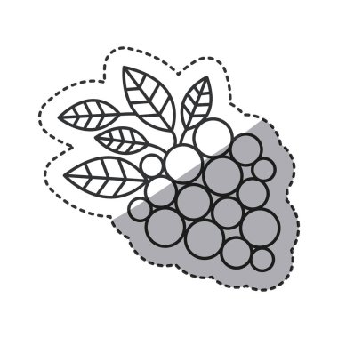 İzole üzüm tasarım