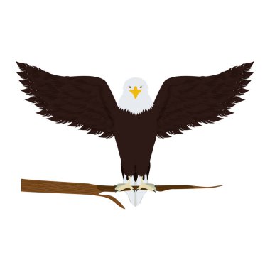 bir ağaç dalı kartal