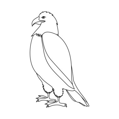 ayakta pozisyonda kontur kartal