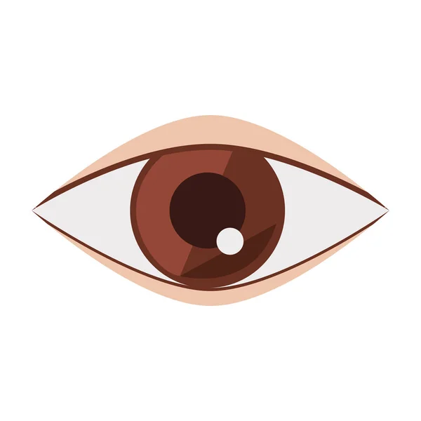 Silhouet bruine platte oogpictogram — Stockvector