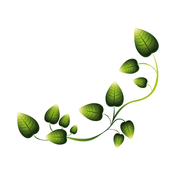 Green creeper with multiple leaves — Stock Vector