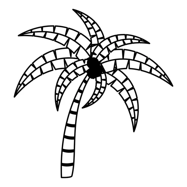 Diseño de palmeras aisladas — Vector de stock