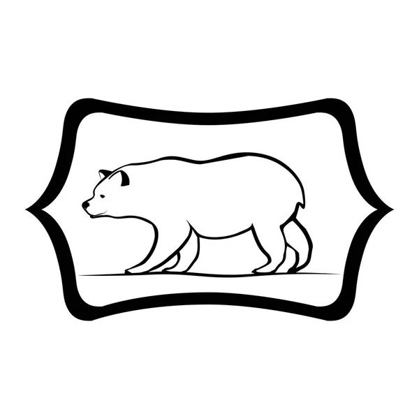 Urso isolado dentro do design da etiqueta —  Vetores de Stock