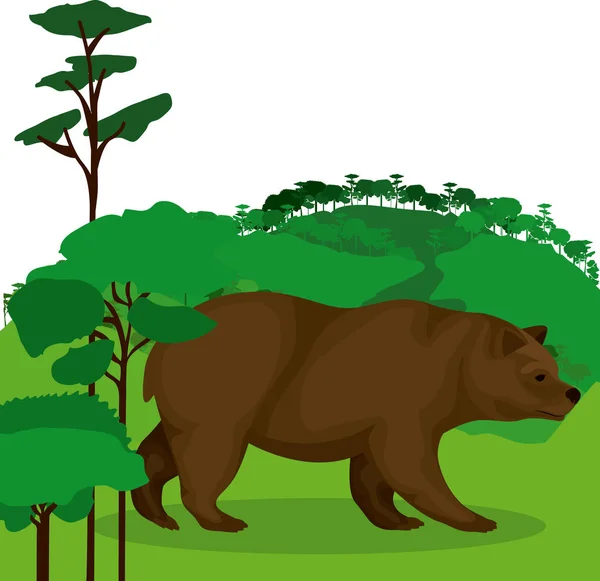 Diseño animal de oso aislado — Archivo Imágenes Vectoriales