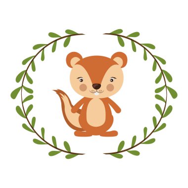 İzole sincap karikatür tasarım