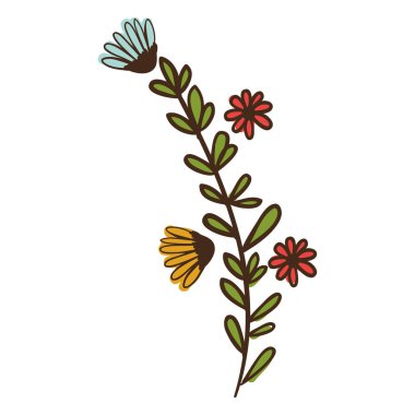 İzole çiçek dekorasyon