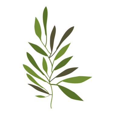 İzole yaprakları dekorasyon