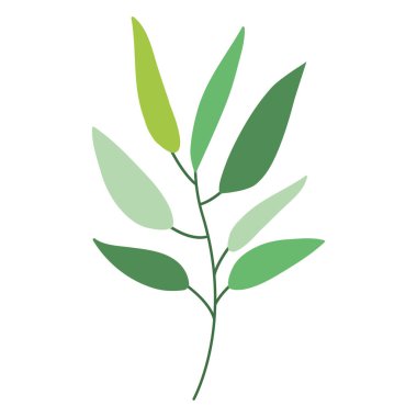 İzole yaprakları dekorasyon