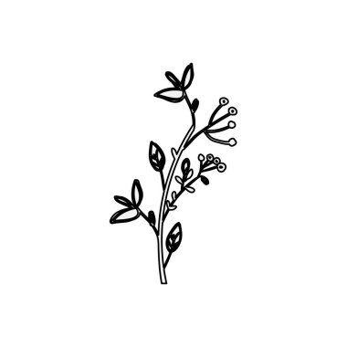 İzole yaprakları dekorasyon