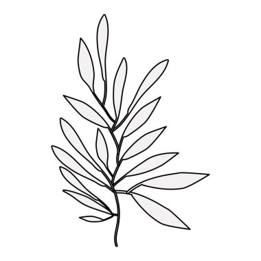 İzole yaprakları dekorasyon