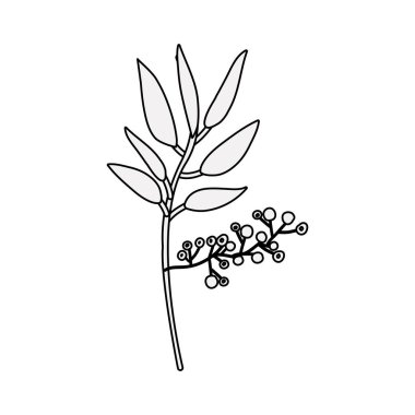 İzole yaprakları dekorasyon