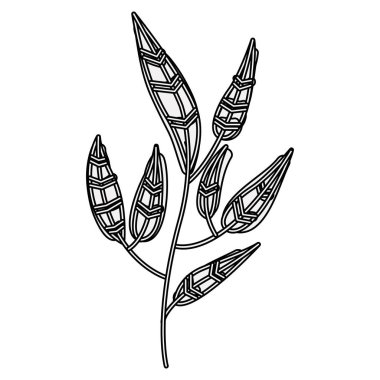 İzole yaprakları dekorasyon