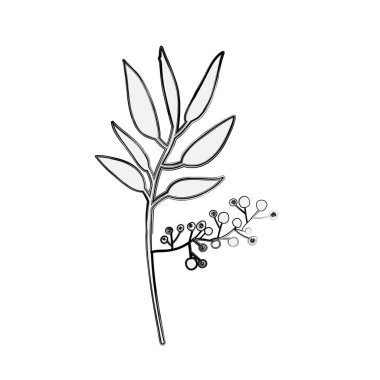 İzole yaprakları dekorasyon