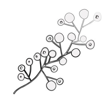 İzole çiçek dekorasyon