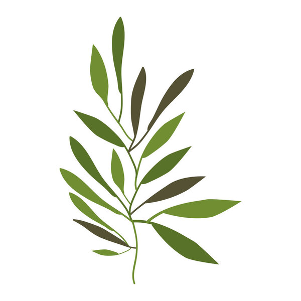 Isolated leaves decoration design