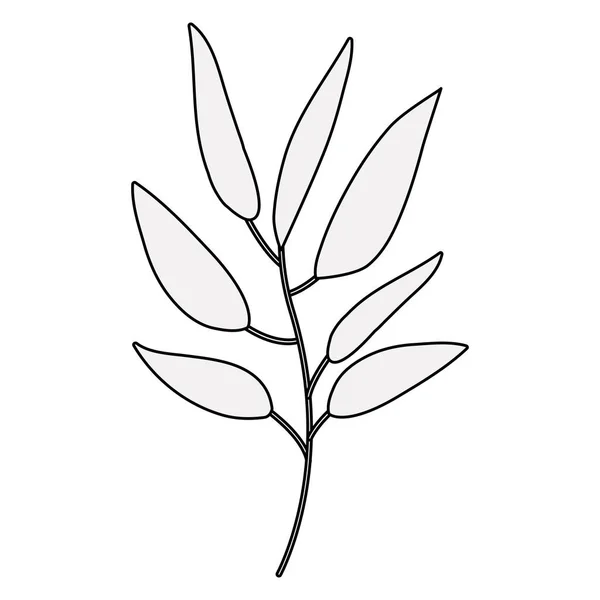 Απομονωμένα φύλλα διακόσμησης — Διανυσματικό Αρχείο