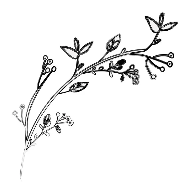 Diseño de decoración de flores aisladas — Vector de stock