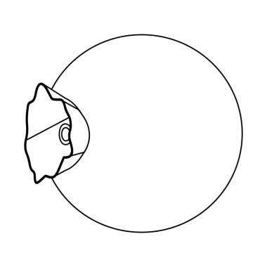 İzole yaban mersini meyve tasarım