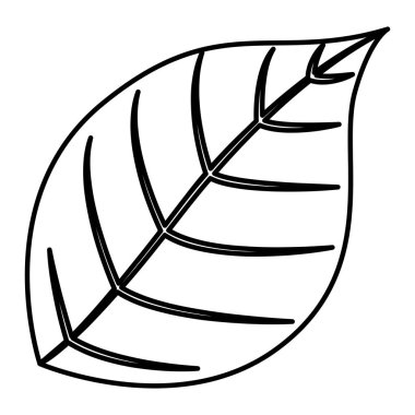 İzole yaprak tasarımı