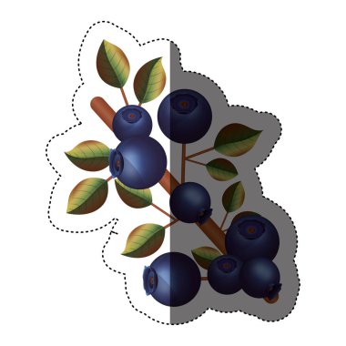 İzole yaban mersini meyve yaprakları tasarımı ile