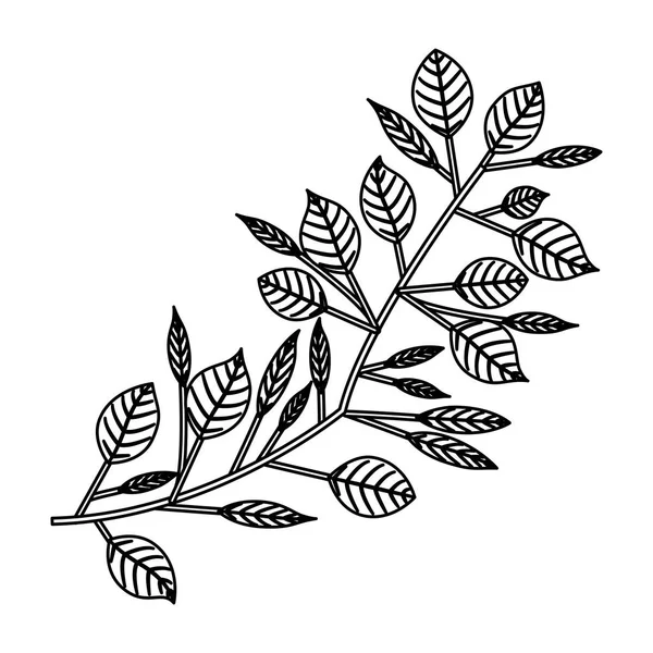 격리 된 잎 장식 디자인 — 스톡 벡터