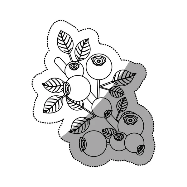 Frutto di mirtillo isolato con disegno delle foglie — Vettoriale Stock