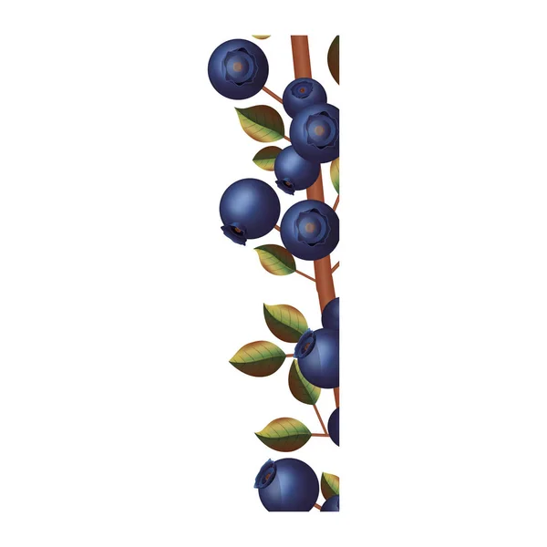 Blueberry fruit avec la conception de feuilles — Image vectorielle