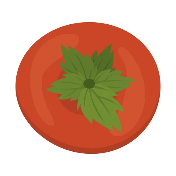 隔离的番茄设计 — 图库矢量图片