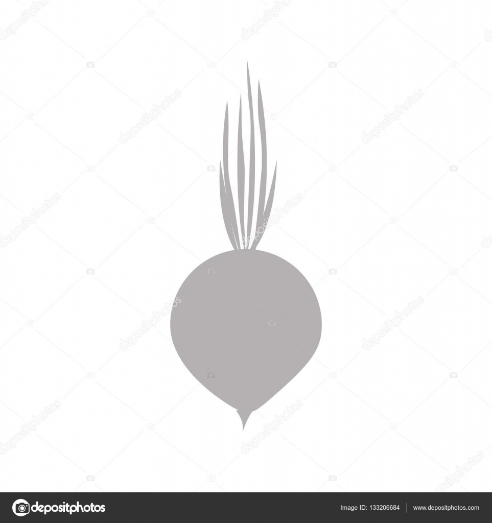 タマネギ野菜シルエット グレー色 ストックベクター C Grgroupstock タマネギ野菜シルエット グレー色 ストックベクター C Grgroupstock