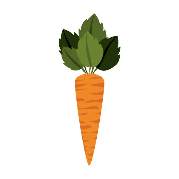 Warna-warni siluet dengan sayuran wortel - Stok Vektor