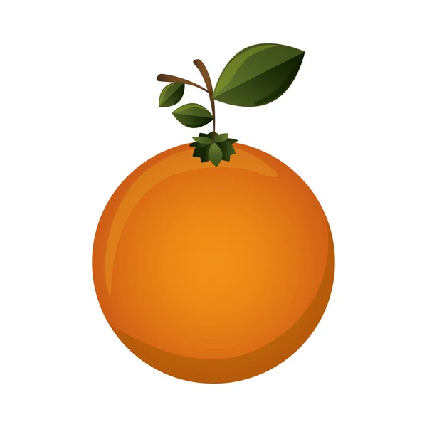 Silhueta colorida de laranja fruta brilhante —  Vetores de Stock
