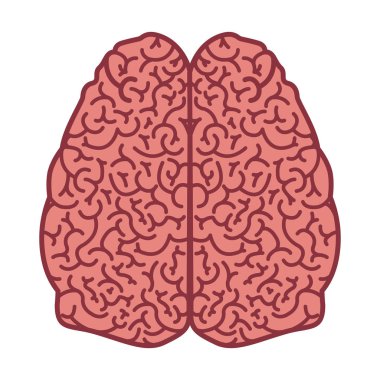 beyin siluet renk iki serebral hemisferlerin ile