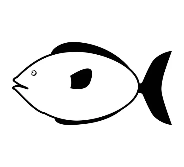 Monochrome silhouette with small sea fish — Stock Vector