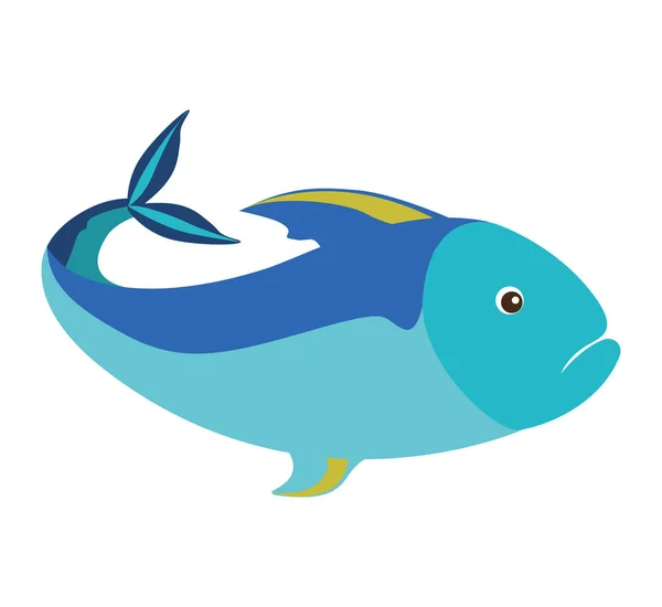 Färgglada siluett med havet fisk blå — Stock vektor
