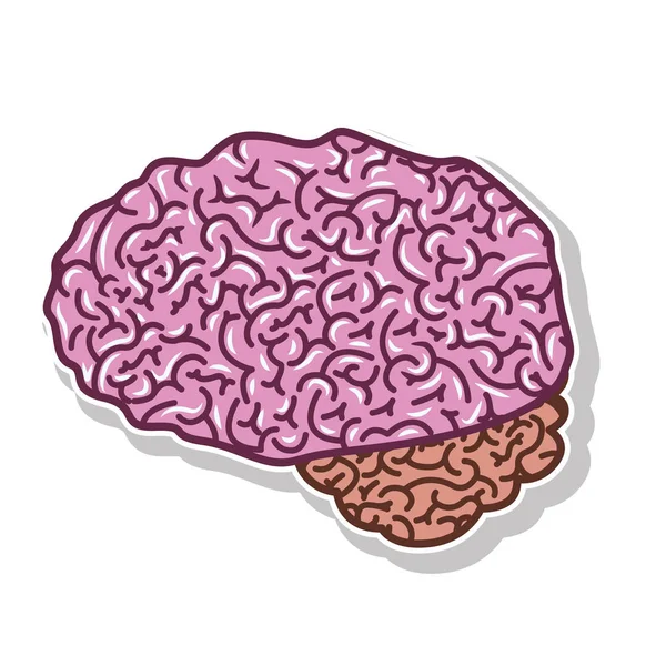Silhouette cervello colore viola chiaro con vista laterale — Vettoriale Stock