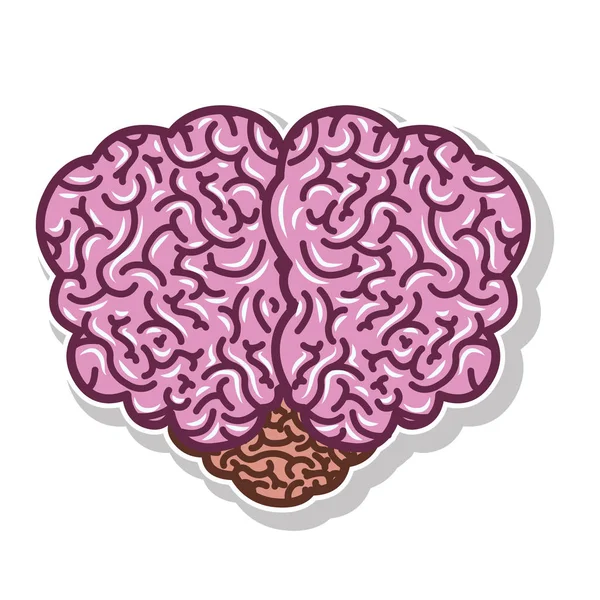 Hersenen silhouet licht paarse kleur met bovenaanzicht — Stockvector