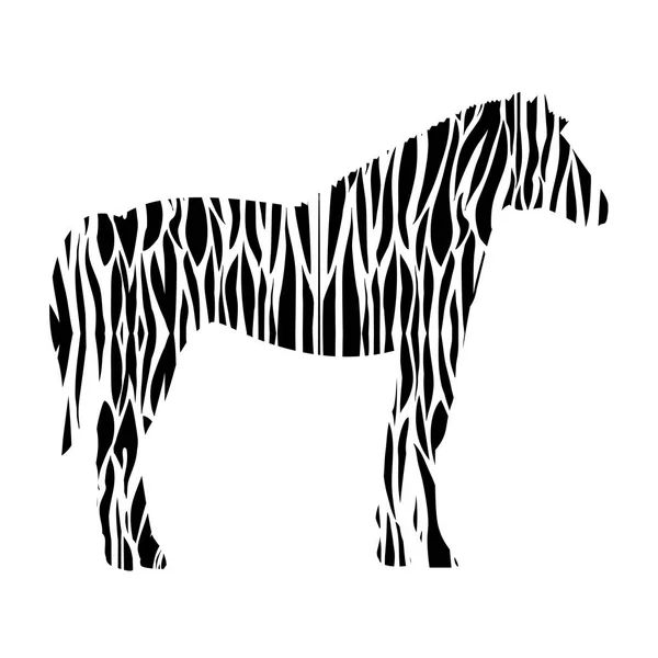 Design de zebra isolada —  Vetores de Stock